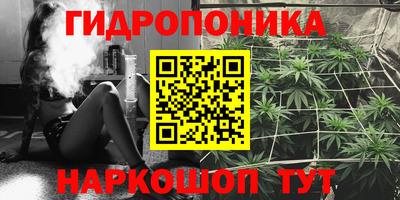 гидра Малгобек