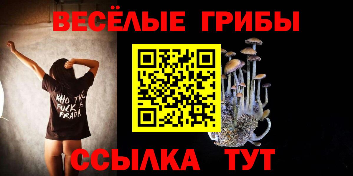 Псилоцибиновые грибы мицелий Чита